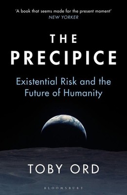 The Precipice:  A book that seems made for the present moment  New Yorke...