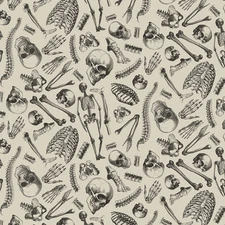 Michael Miller - Boo-Tiful - Mr Bone - Cream, Fabric by the Yard