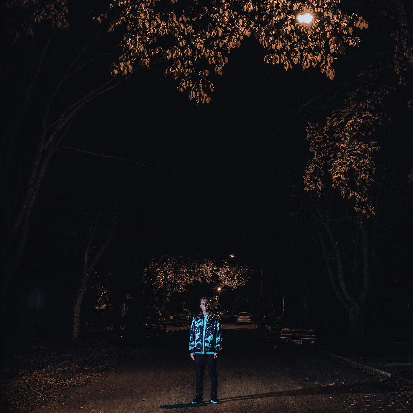 Factor Chandelier Eastlake (Vinyl LP)