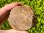 Bild 9 von 11