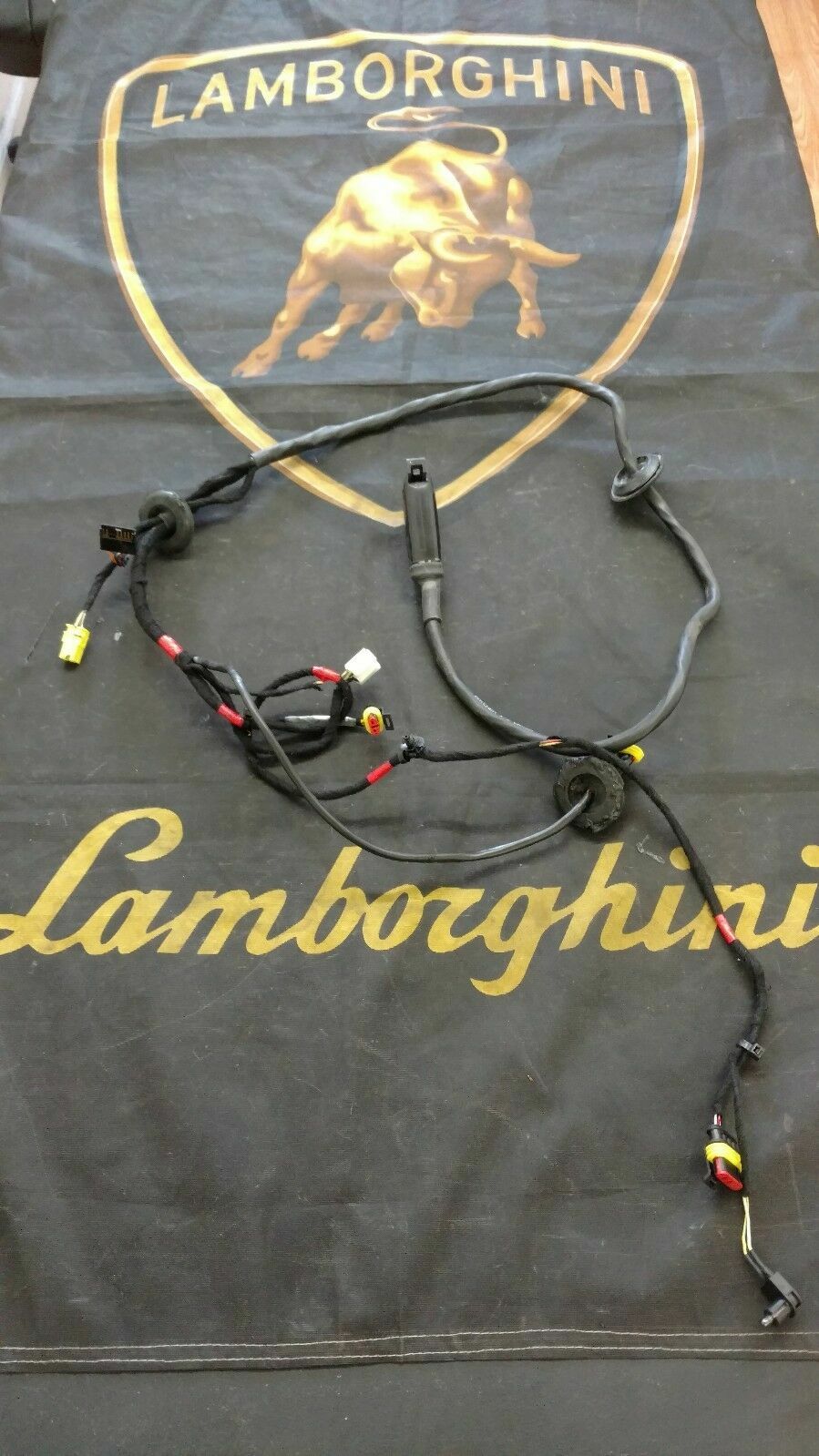 LAMBORGHINI MURCIELAGO PASSENGER RIGHT SIDE DOOR WIRING HARNESS OEM 0061016387