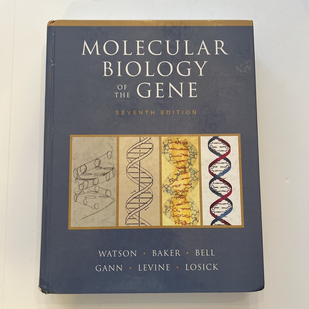 Molecular Biology of the Gene Seventh Edition 2013 Textbook