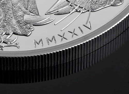 Moneda de plata de prueba de 1 oz de Santa Elena moderna Una y el León 2024 - Imagen 10 de 13