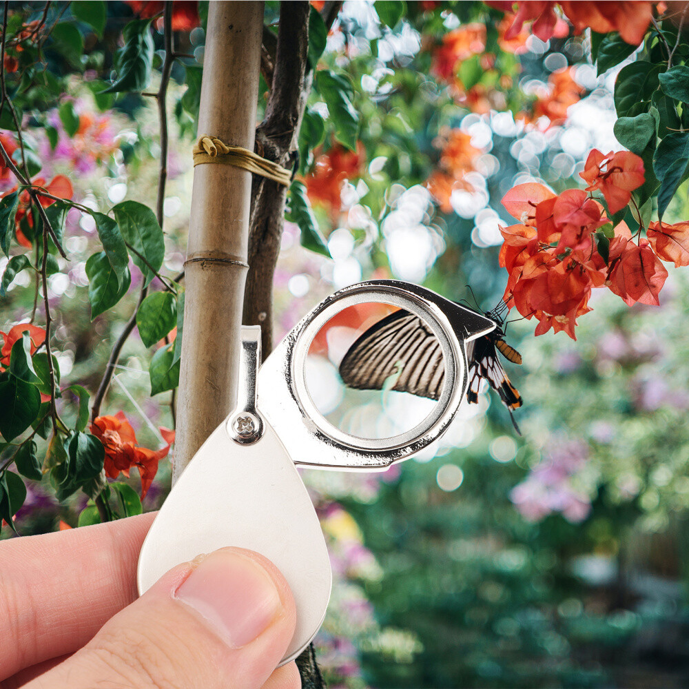 4 Count Magnifying Glass Keychain Sheet Child Portable Magnifier