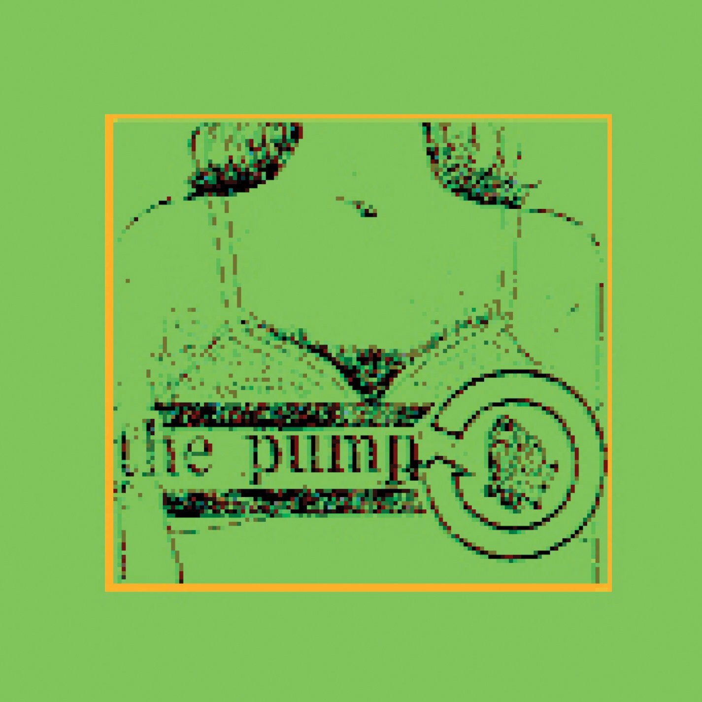 Nocturnal Emissions Presents The Pump (CD)