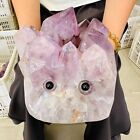 9.79Lb Natural amethyst, Hedgehog, Lucky crystal, decoration