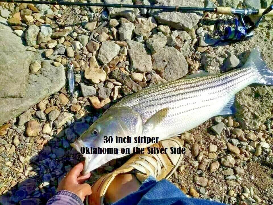  (12 X) 2 «ИЛИ (10 X) 5»/4» реалистичный плавать приманка гольяна рыболовные приманки плюс бесплатный подарок - Изображение 2 из 4