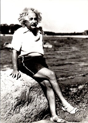 Postcard Albert Einstein Beach Pinup Seated Unidentified Photographer C64