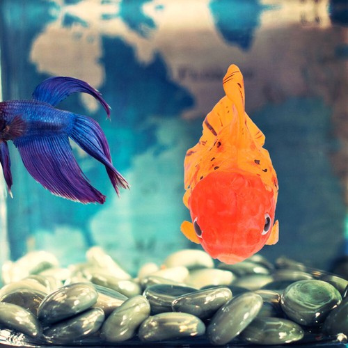 Artificial Aquarium Fake Fish for Moving Floating Fishes Ornament Tank Luminous - 第 6/11 張圖片