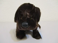Webkinz Chocolate Lab -HM138 New. Sealed, unused code. Retired. Adorable 