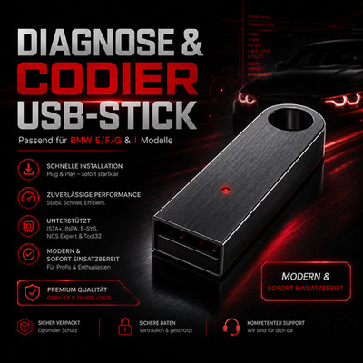 USB DIAGNOSE STICK passend für BMW E F G I Modelle & ISTA+ RHEINGOLD ESYS INPA