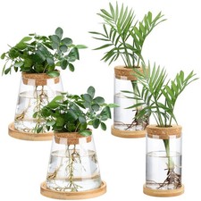 4 Plant Propagation Stations - Glass Vases with Wooden Lids for Hydroponics