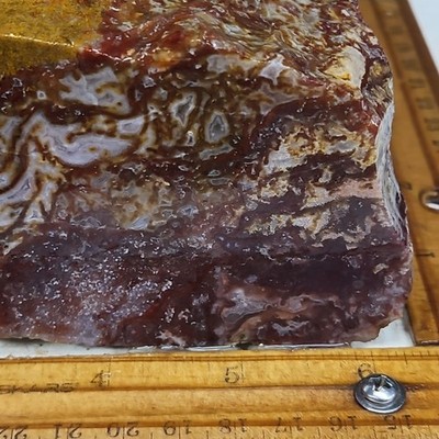 Agua Nueva Moss agate. Spectacular pattern and  beautiful color. 4lbs 5.5oz.