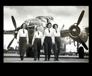 wasp air force