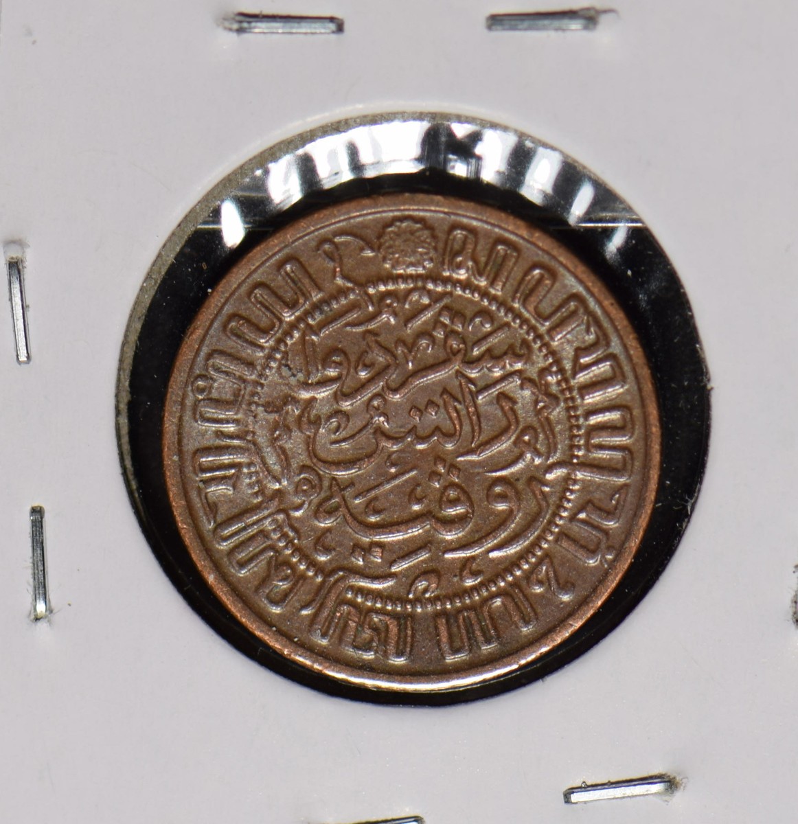 オランダページ adidas x Sean Wotherspoon ZX 8000 SUPEREARTH sneakers for