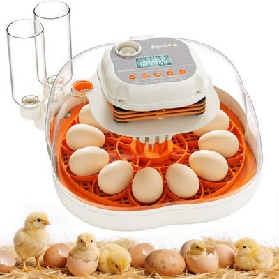 APDOE Egg Incubator 12 Chicken 30 Quail Auto Turning