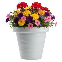 Howhomely Pflanztopf Blumentopf Pflanzgefäß Weiß ÜBertopf H34Xb39 Cm BlumenküBel