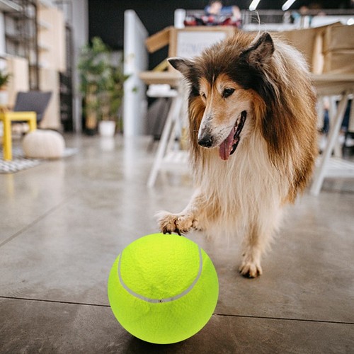 9 5 ''übergroße Riesige Tennisbälle Aufblasbarer Tennisball Mit Pumpe Hundes Pie - Bild 11 von 24