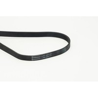 Keilrippenriemen Continental Ctam 6PK1590 FüR Audi CitroëN Fiat Ford Lancia Opel