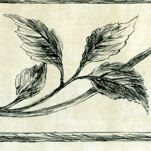 Modern B&W Leaf Scrolls Wallpaper Border - 30 feet length - "FREE SHIPPING" A585 - Picture 1 of 4