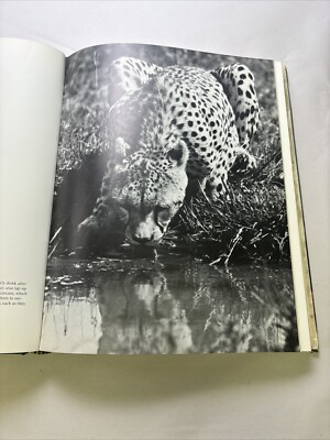 The Long African Day by Norman Myers | eBay