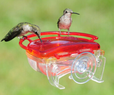 Aspects 437 The Gem Window Hummingbird Feeder Made in USA