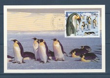 TAAF  FSAT  carte  1er jour  nature faune oiseau manchot  2003