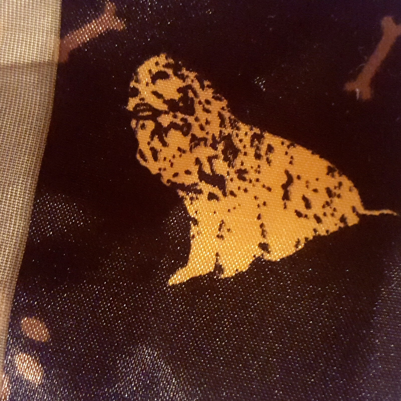 Picture 3 of 7