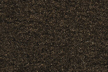 Top 10 Vintage 1955 Baseball Card Singles 15