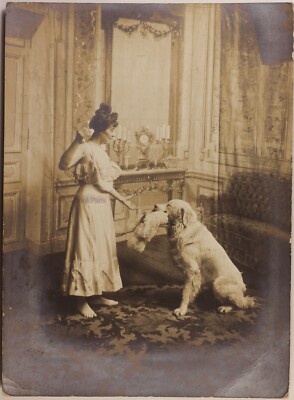 Weiblich Hund Porträt Foto Professor Stebbing Paris Frankreich Vintage c1900 n2