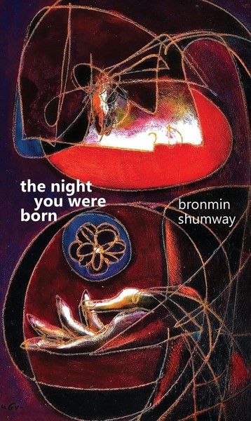 Bronmin Shumway | The Night You Were Born | Taschenbuch | Englisch (2025)-image