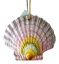 Tropical Beach Seashell Christmas Ornament Purple ORNShell05 Resin