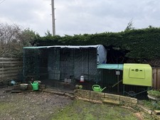 Omlet Eglu Cube MK1 with walk in run and accessories