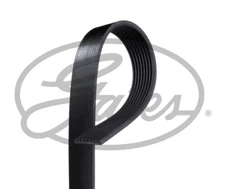 GATES 8PK1655HD V-Ribbed Belt for DODGE,MAN