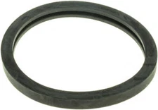 Engine Coolant Thermostat Seal Gates 33616