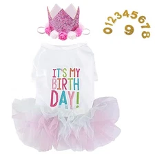 Dog Birthday Dress and Hat Set Puppy Lace Tutu Pink Pet Crown Hat with 0-9 Fi...