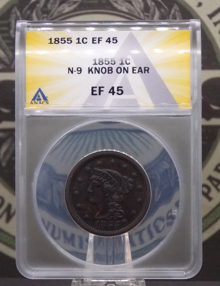1855 Braided Hair Large Cent *KNOB on EAR* N-9 1c ANACS EF45 XF #916 Extra Fine - Image 3 of 4