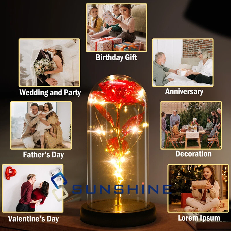 Forever Galaxy Rosa Flor Romántica Eterna Regalo En Cúpula de Vidrio Luz LED para Ella Foto 3 de 4