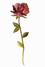  3816A 9"H Pink Red Rose Flower Embroidery Iron On Applique Patch