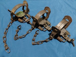 Lot of 3 Vintage Victor No. 1.75 PROFESSIONAL Dual Coil Spring Trap  Lititz PA