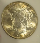 1924 Peace Silver Dollar - BU GEM, Super Luster, Light peripheral toning 5148