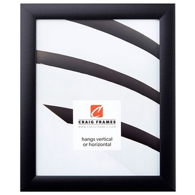 Craig Frames Contemporary Picture Frame, 8 x 12 Inch, Black 8 x 12,