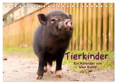 Tierkinder (Tischkalender 2026 DIN A5 quer), CALVENDO Monatskalender Uwe Kantz