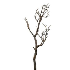 Wildwood Artificial Tree Branch 70cm Natural Brown