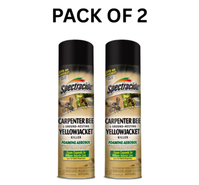 #ad #ad Carpenter Bee and Yellow Jacket Insect Killer 16oz Foaming Aerosol 2 pack $19.98