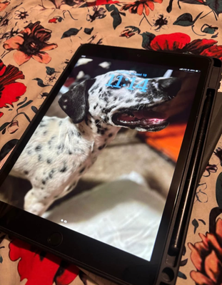 Apple iPad (9th Generation) A2604 64 GB, Wi-Fi + 4G, 10.2 in