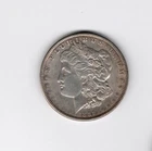 1889 Morgan Silver Dollar Beautiful NATURAL Partial Rim Toning