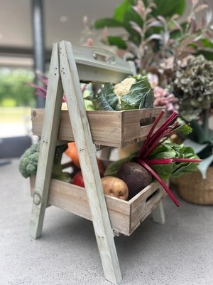 Holz 2 Ebenen Gemüse Pflanzen Aufbewahrung Regal Grün Tischplatte Rustikal Vitrine Laden
