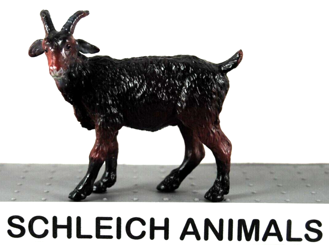 Bild 71 von 78
