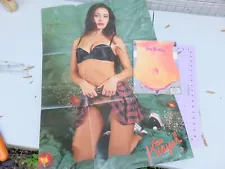 Vintage 1993 Big Brother Skateboard Magazine Issue 9 Penthouse Kia Delao Poster